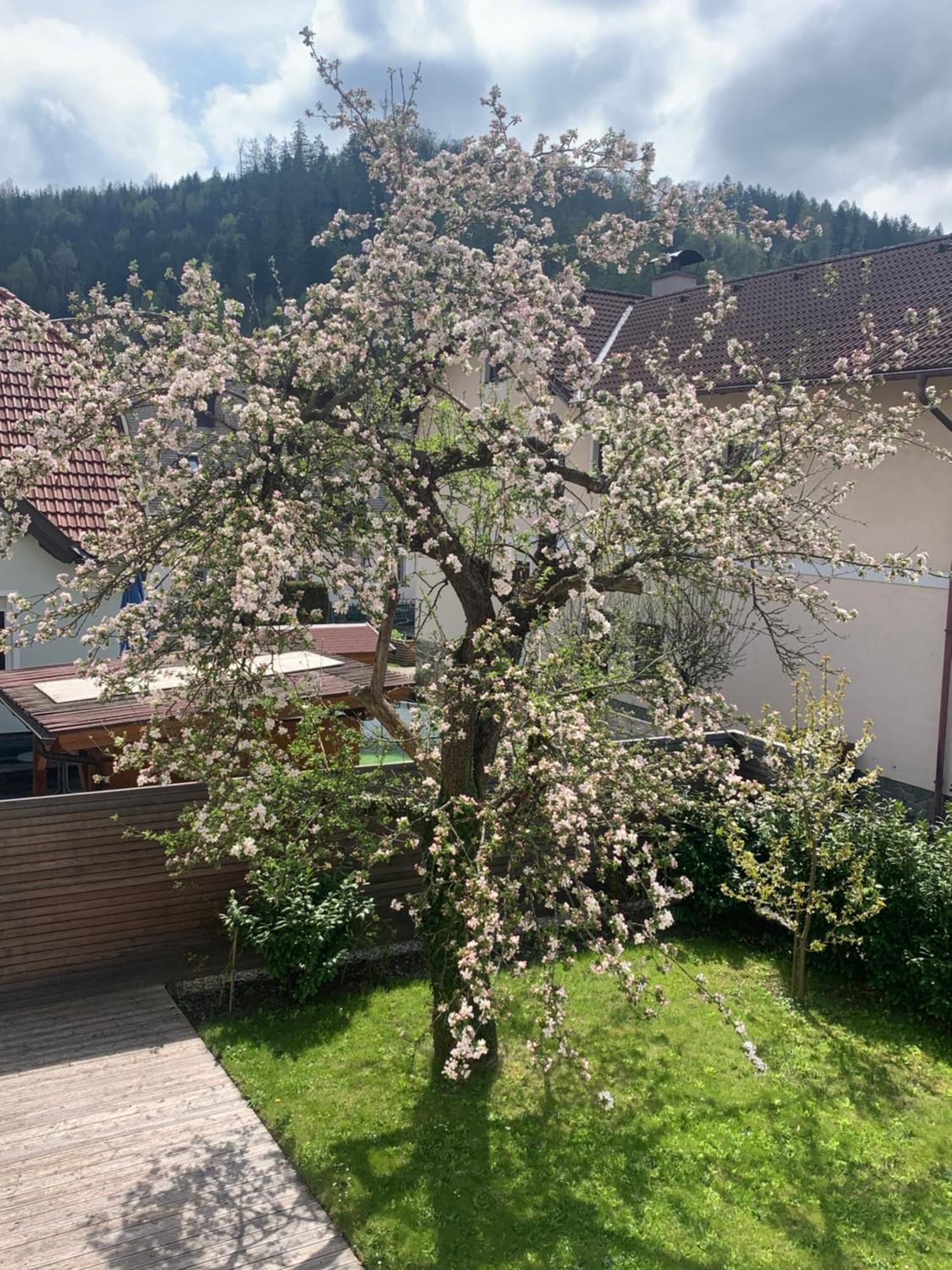Haus Zwei Leilighet Aspang Markt Eksteriør bilde